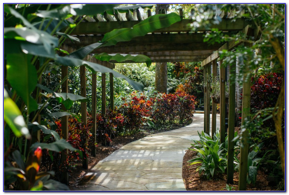 Sunken Gardens St Petersburg Florida Coupons Garden Home