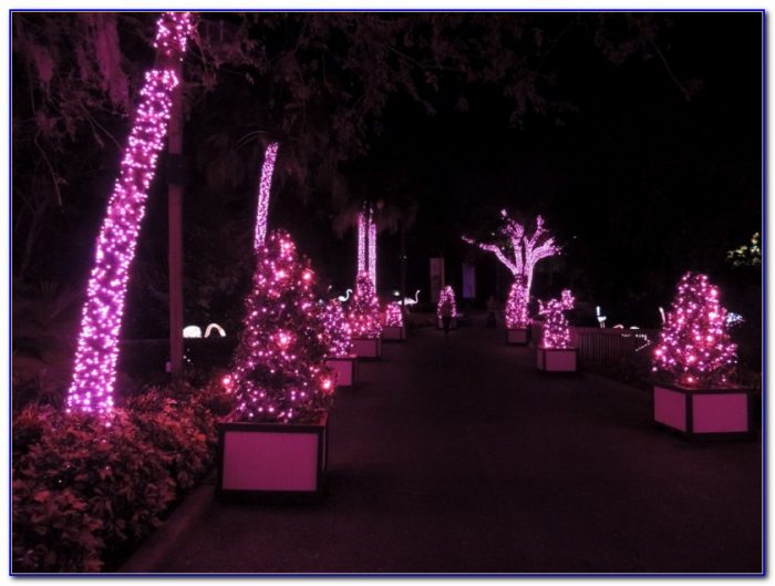 Busch Gardens Christmas Town 2015 Garden Home Design Ideas