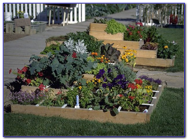 Square Foot Gardening Spacing Chart