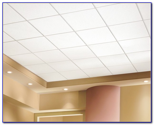 Armstrong Commercial Washable Ceiling Tiles