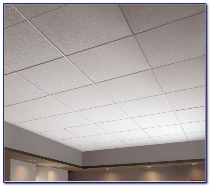 Armstrong Acoustical Ceiling Tile Maintenance Tiles Home